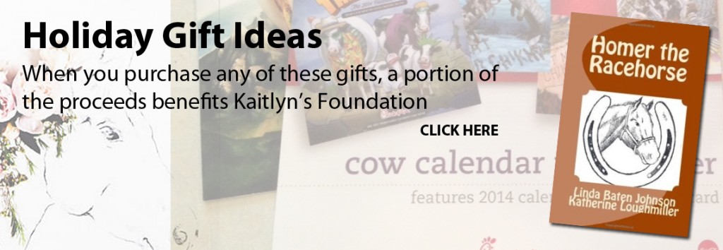 Kaitlyn's Foundation 2013 Holiday